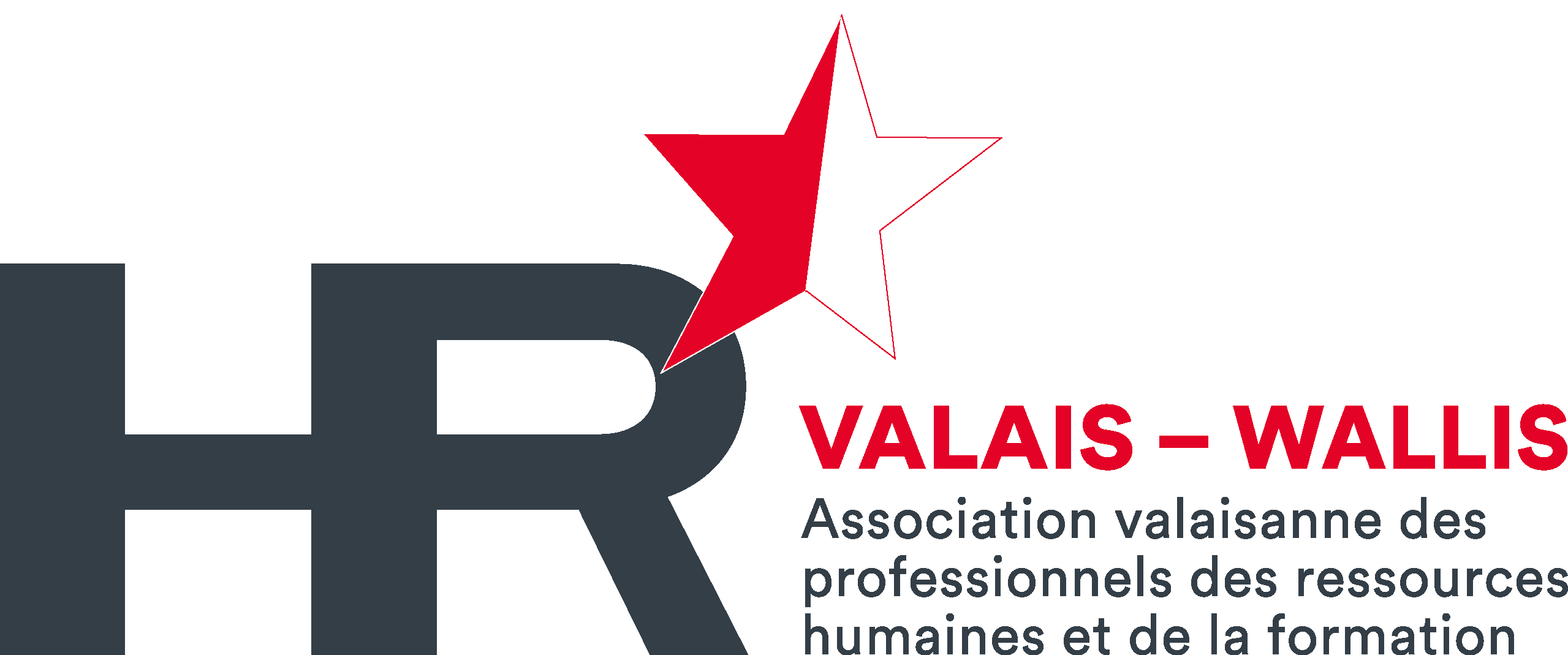 Logo HRValais 2017